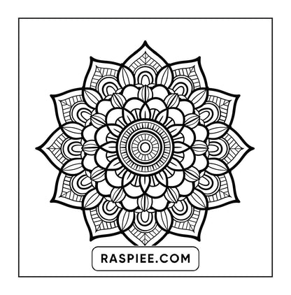 250 Mandala Adult Coloring Pages Vol.2