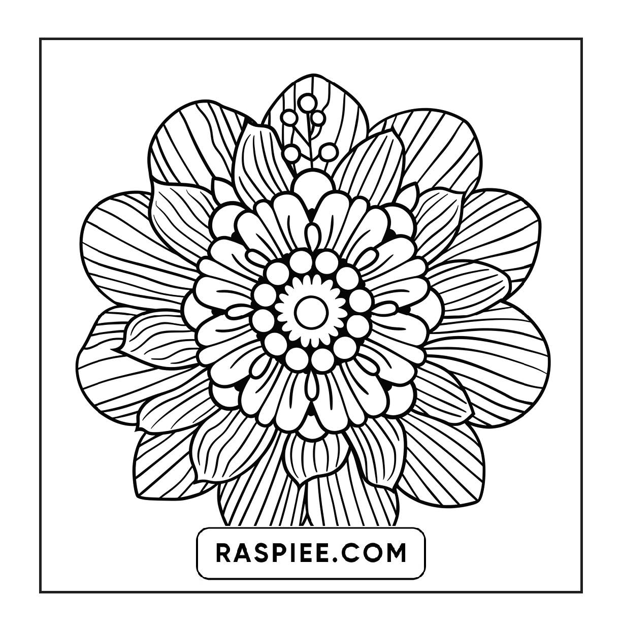 250 Mandala Adult Coloring Pages Vol.2