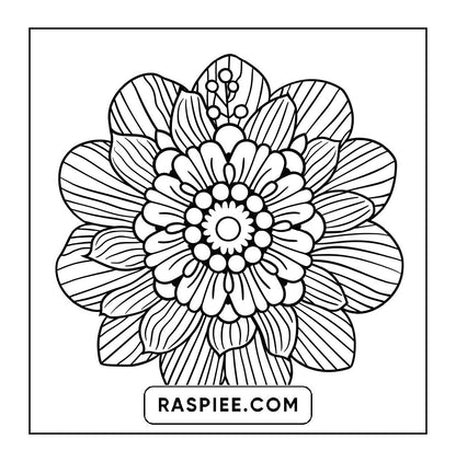250 Mandala Adult Coloring Pages Vol.2