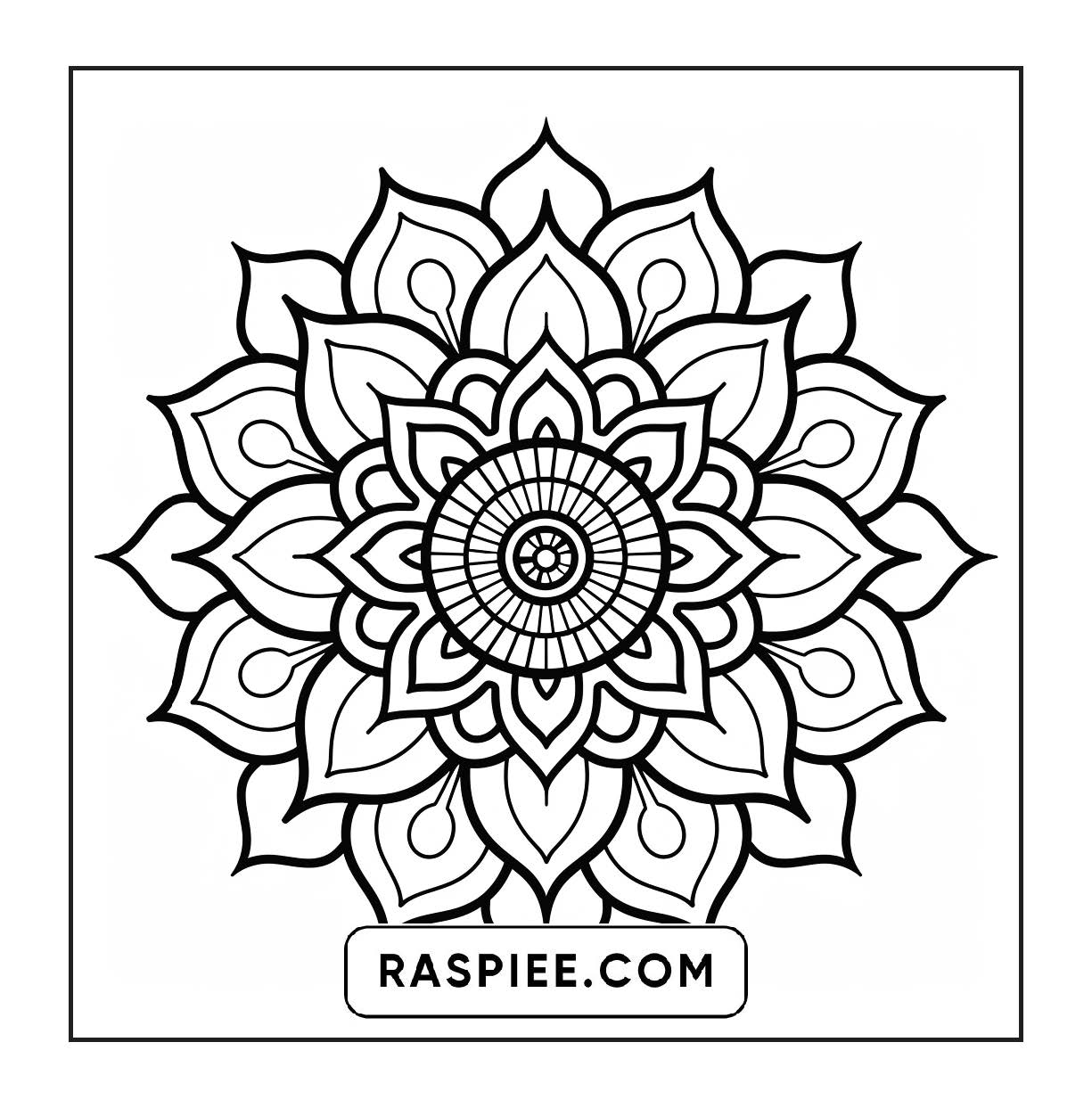 250 Mandala Adult Coloring Pages Vol.2