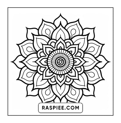 250 Mandala Adult Coloring Pages Vol.2