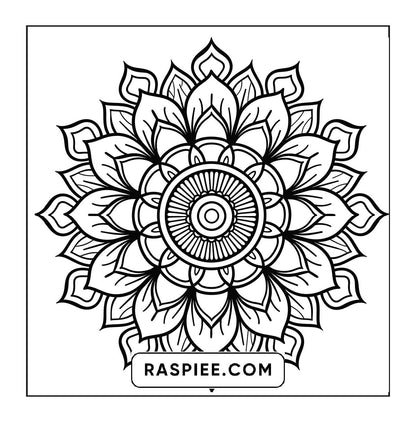 250 Mandala Adult Coloring Pages Vol.2