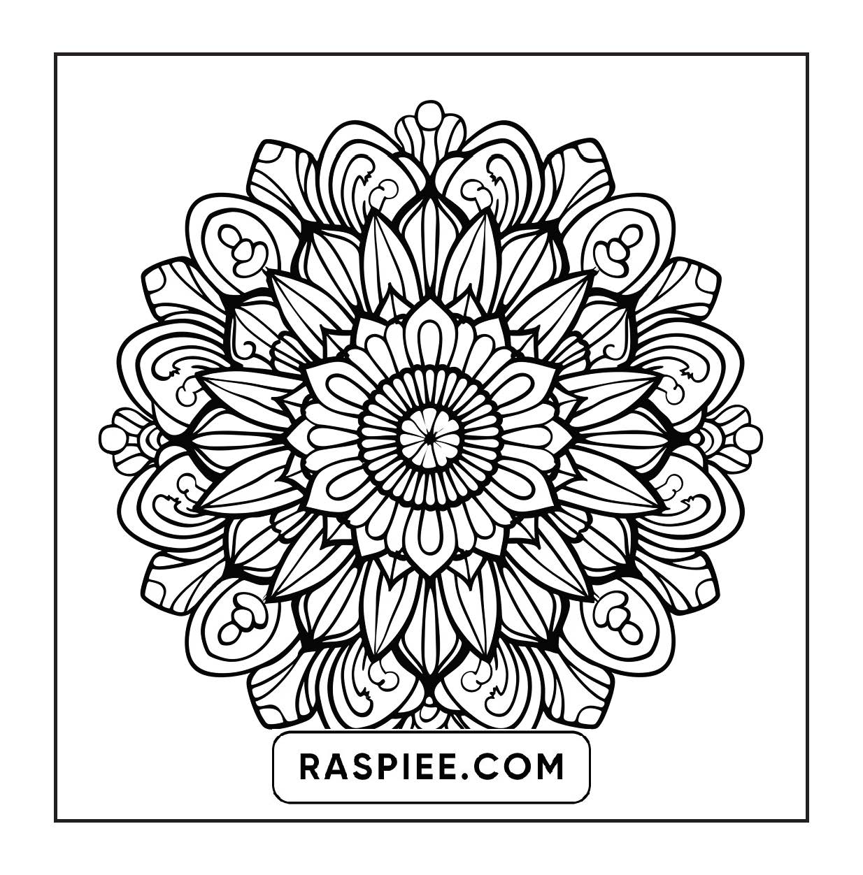 250 Mandala Adult Coloring Pages Vol.2