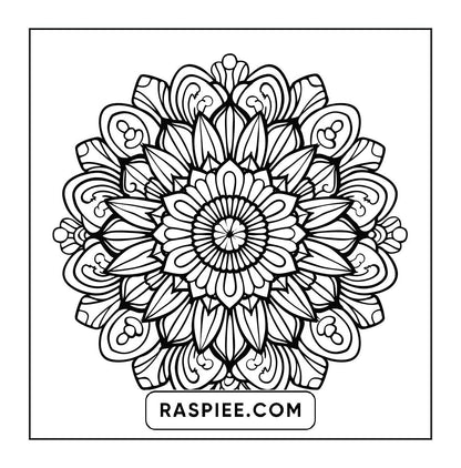 250 Mandala Adult Coloring Pages Vol.2