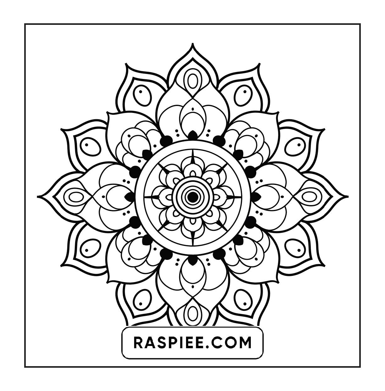 250 Mandala Adult Coloring Pages Vol.2