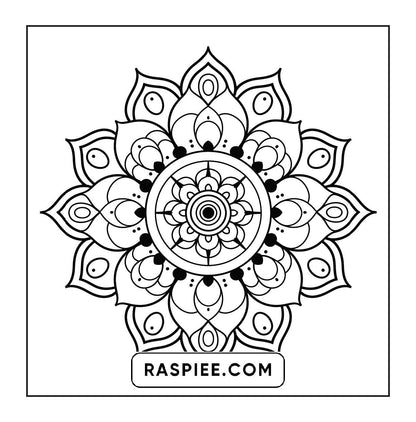 250 Mandala Adult Coloring Pages Vol.2