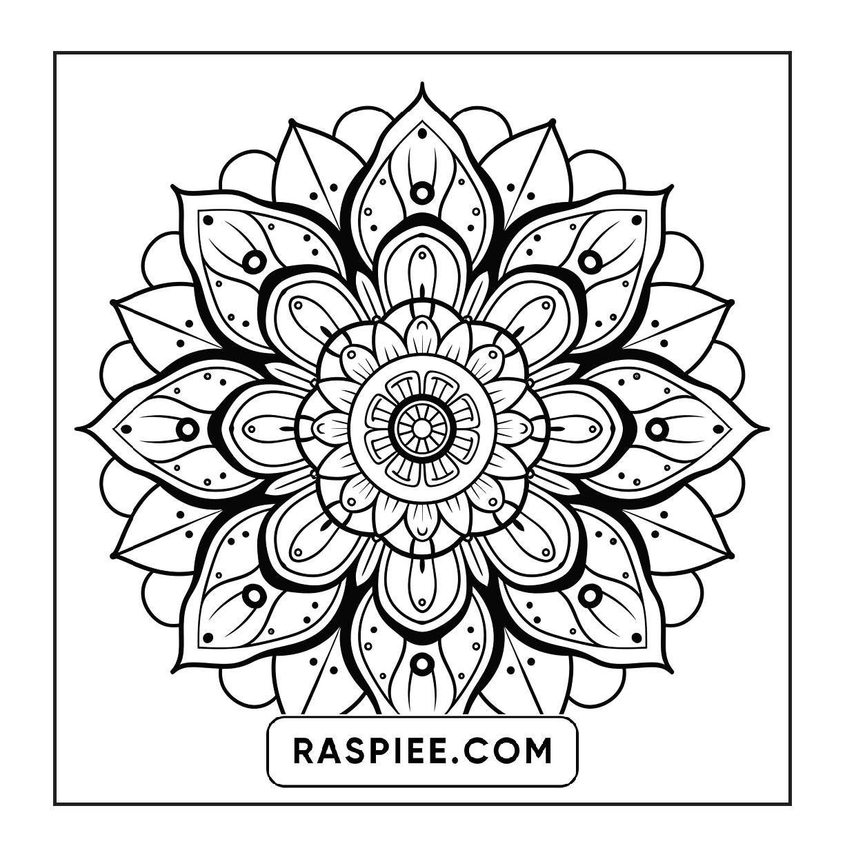 250 Mandala Adult Coloring Pages Vol.2