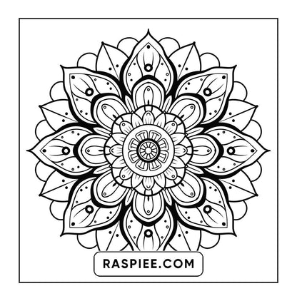 250 Mandala Adult Coloring Pages Vol.2
