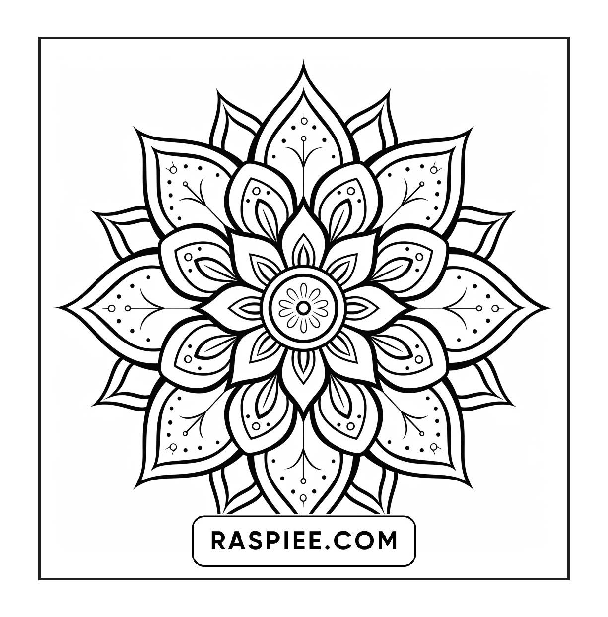 250 Mandala Adult Coloring Pages Vol.2