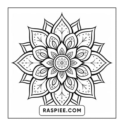250 Mandala Adult Coloring Pages Vol.2
