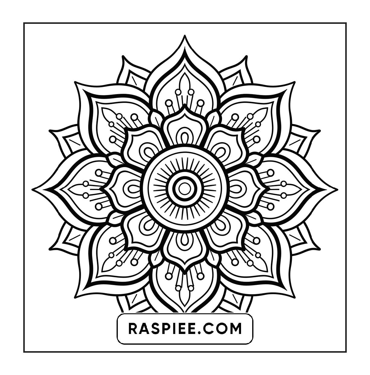 250 Mandala Adult Coloring Pages Vol.2