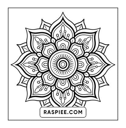 250 Mandala Adult Coloring Pages Vol.2