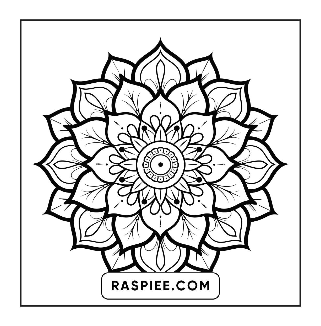 250 Mandala Adult Coloring Pages Vol.2