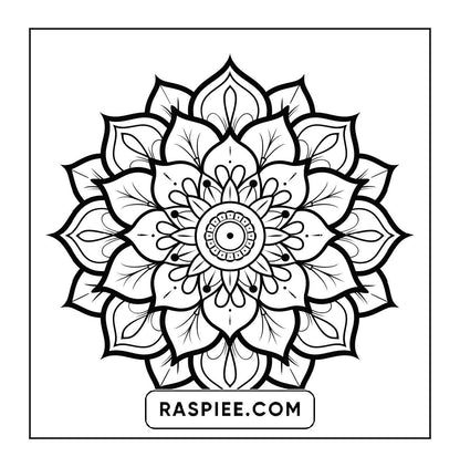 250 Mandala Adult Coloring Pages Vol.2