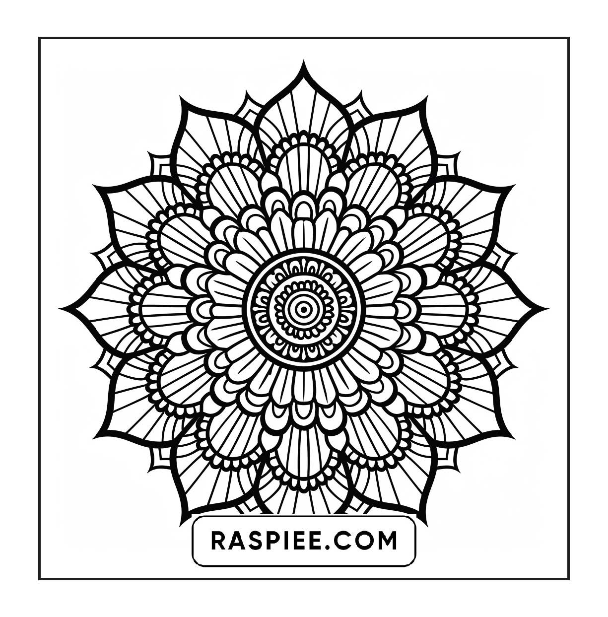 250 Mandala Adult Coloring Pages Vol.2