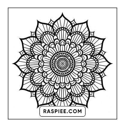 250 Mandala Adult Coloring Pages Vol.2
