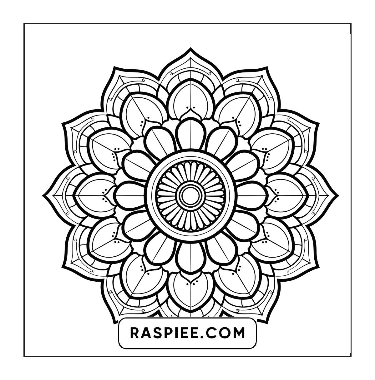 250 Mandala Adult Coloring Pages Vol.2