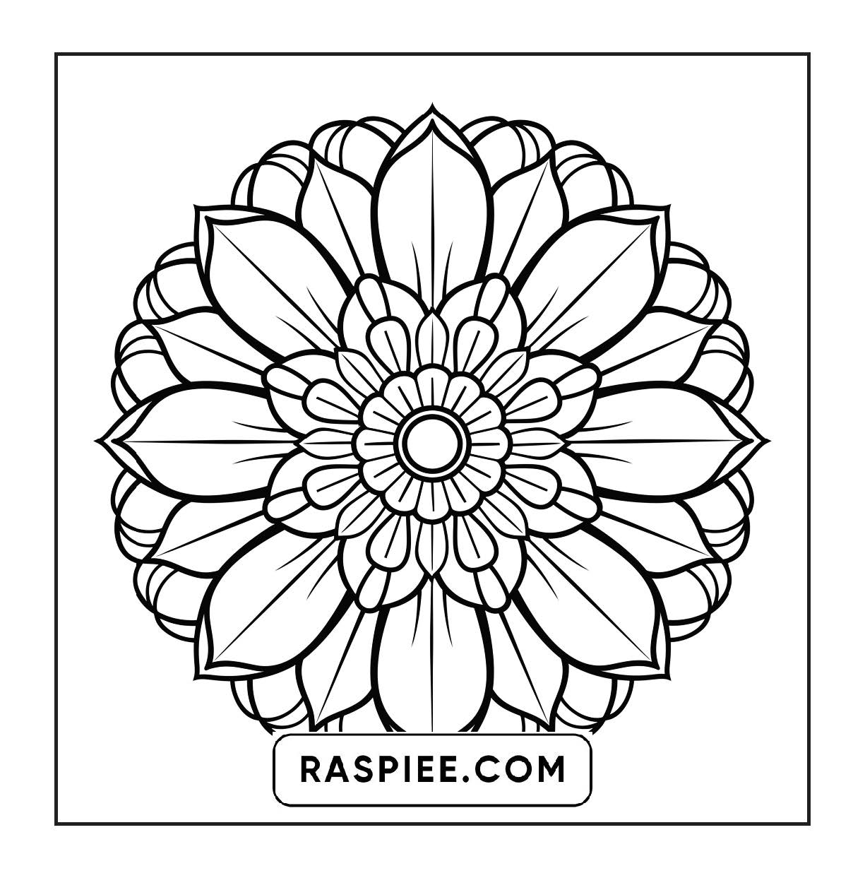 250 Mandala Adult Coloring Pages Vol.2