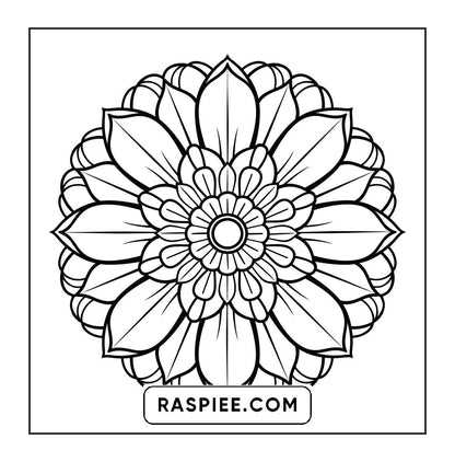 250 Mandala Adult Coloring Pages Vol.2