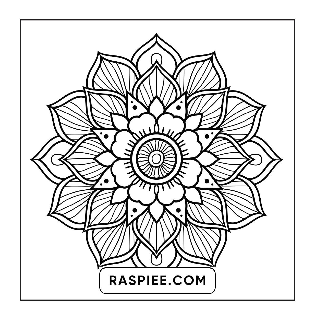250 Mandala Adult Coloring Pages Vol.2