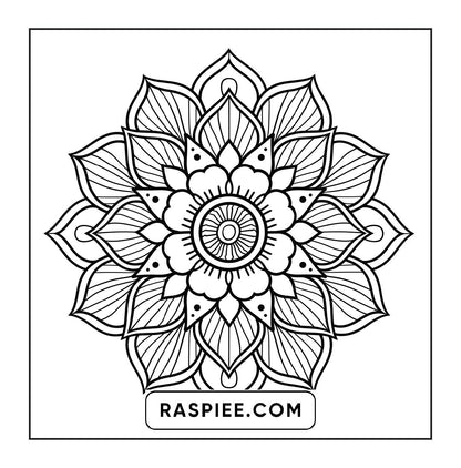250 Mandala Adult Coloring Pages Vol.2