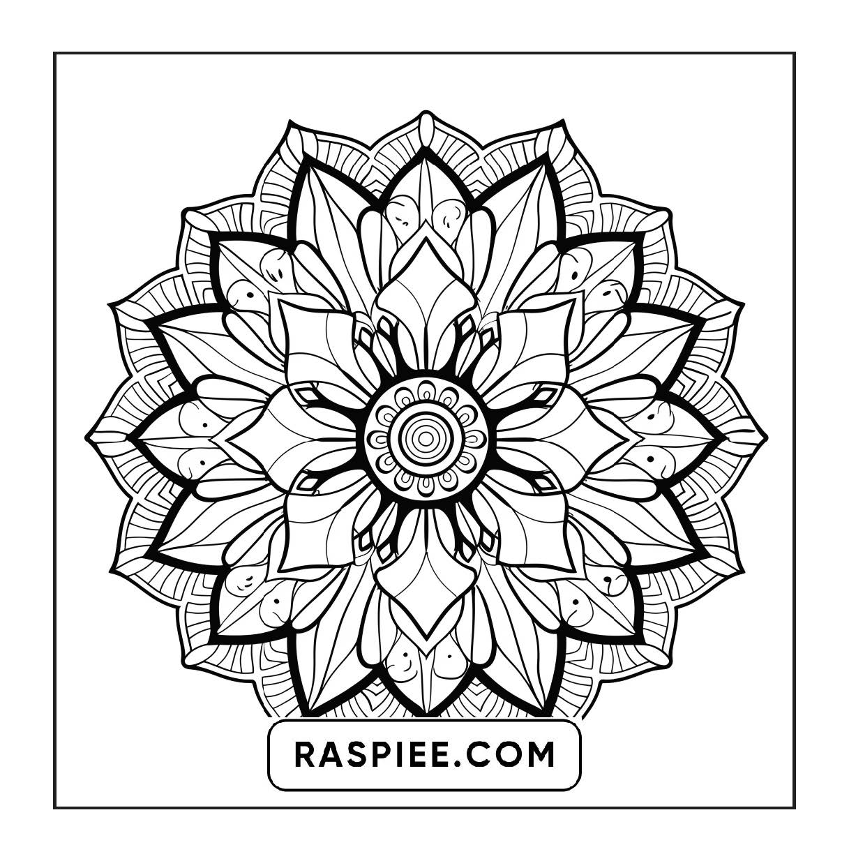 250 Mandala Adult Coloring Pages Vol.2