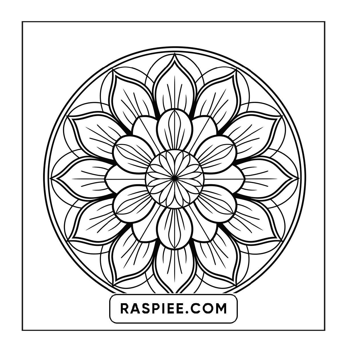250 Mandala Adult Coloring Pages Vol.2