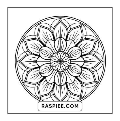 250 Mandala Adult Coloring Pages Vol.2