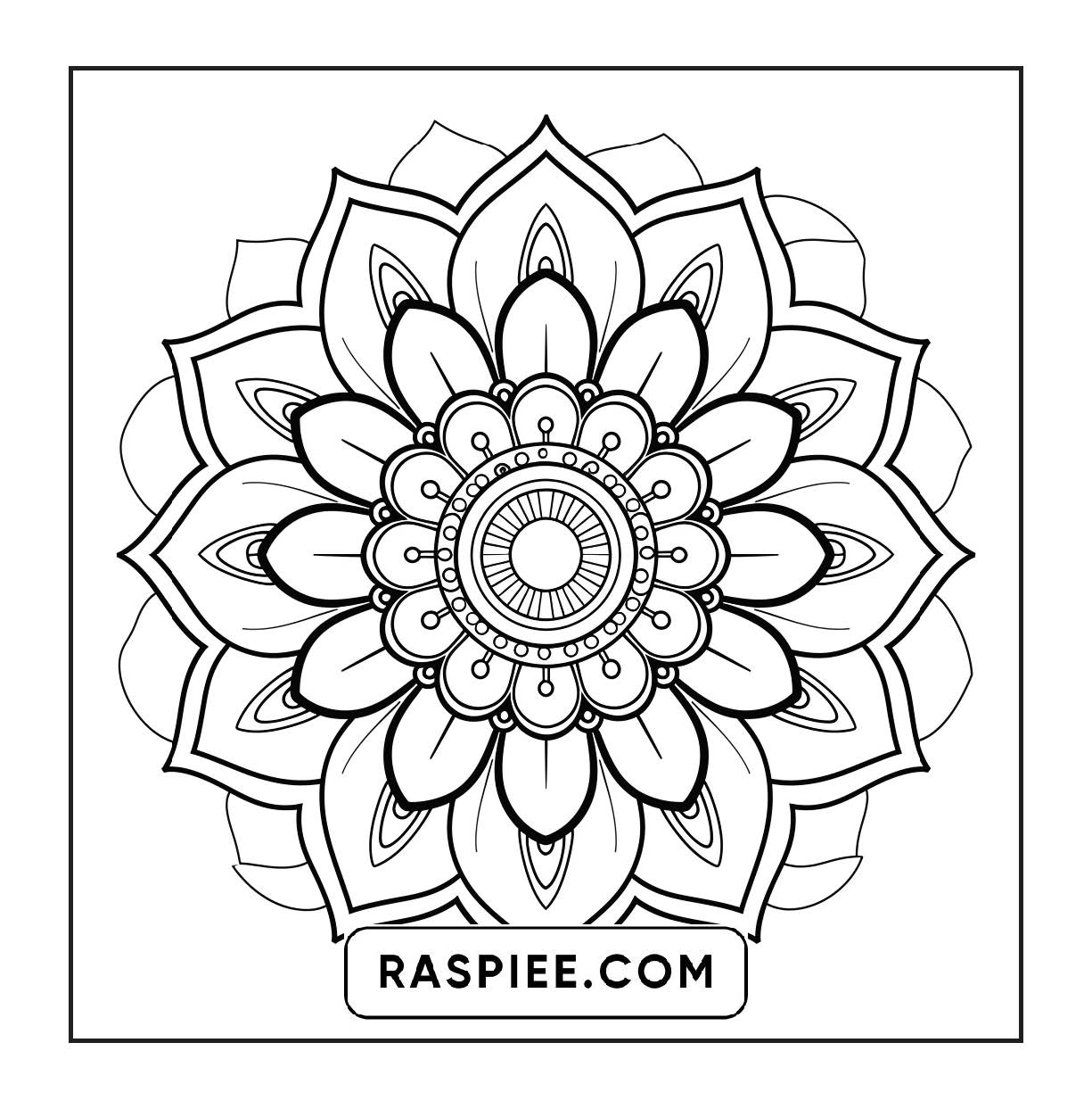 250 Mandala Adult Coloring Pages Vol.2