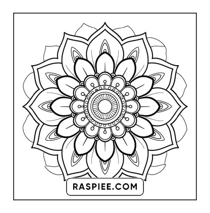 250 Mandala Adult Coloring Pages Vol.2