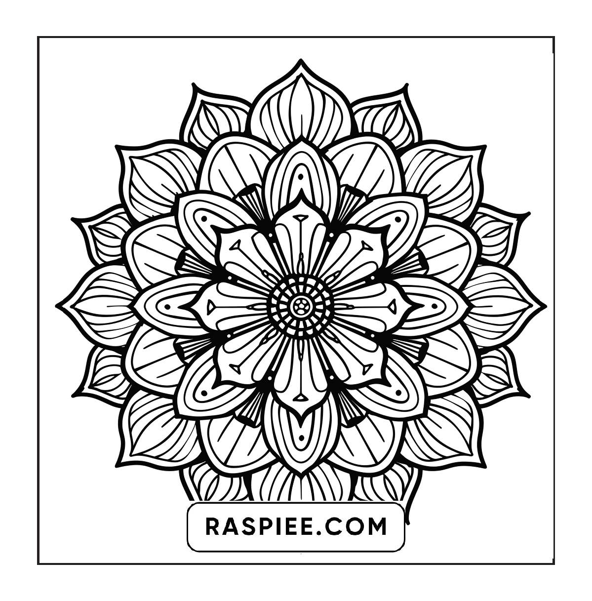 250 Mandala Adult Coloring Pages Vol.2