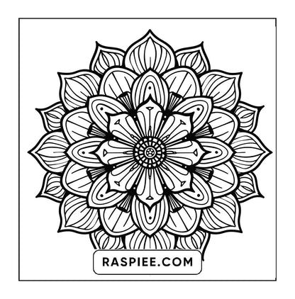 250 Mandala Adult Coloring Pages Vol.2