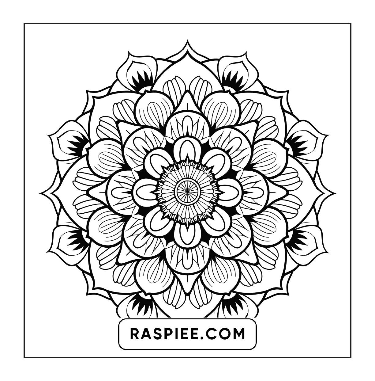 250 Mandala Adult Coloring Pages Vol.2