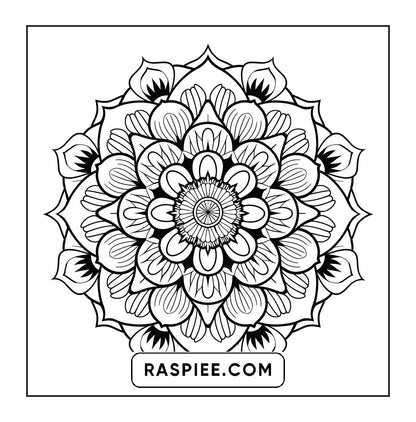 250 Mandala Adult Coloring Pages Vol.2