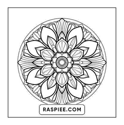 250 Mandala Adult Coloring Pages Vol.2