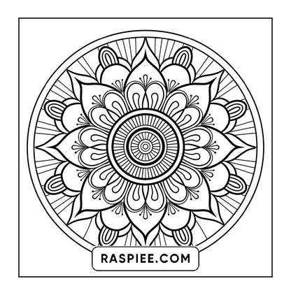 250 Mandala Adult Coloring Pages Vol.2