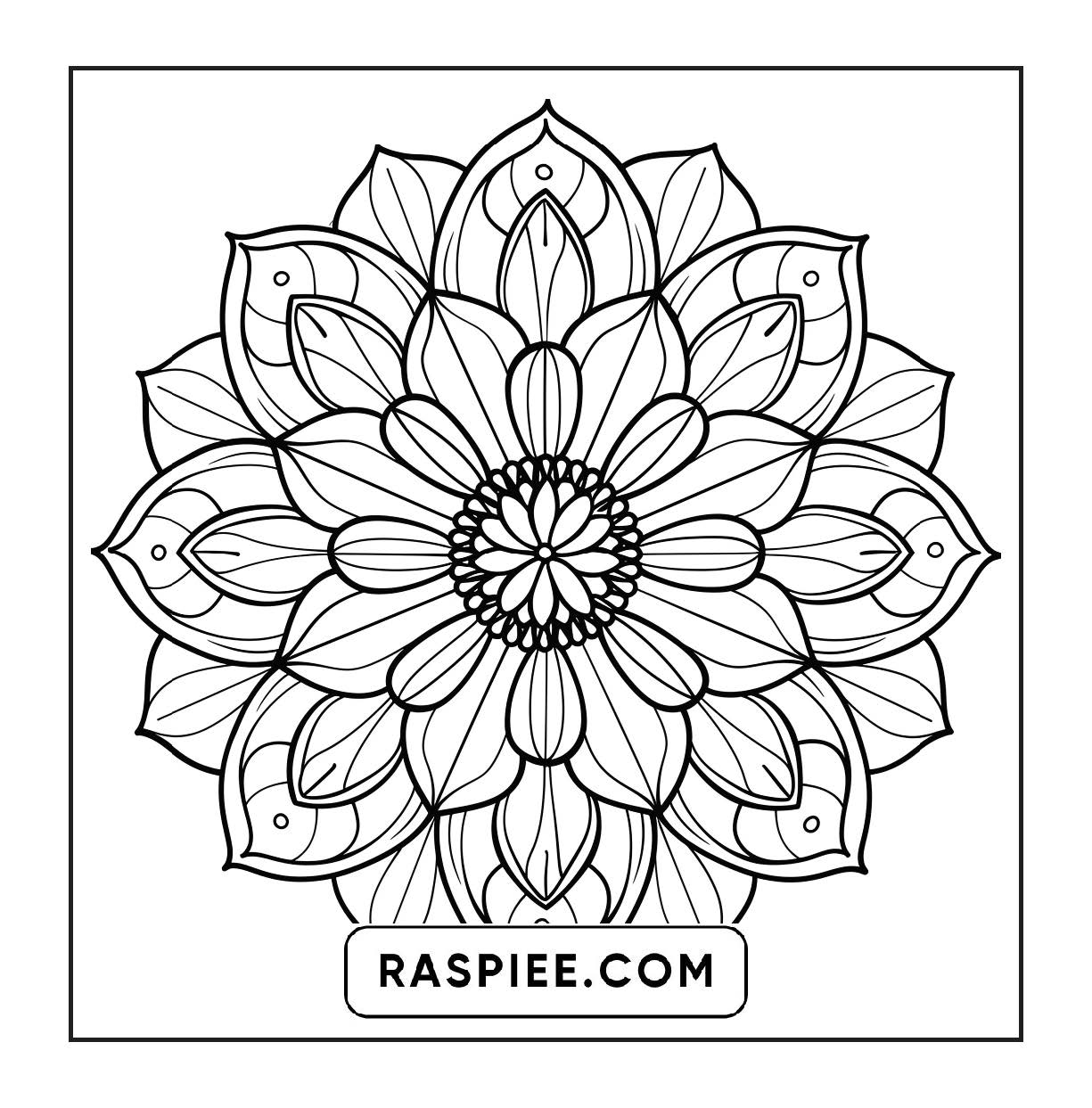 250 Mandala Adult Coloring Pages Vol.2