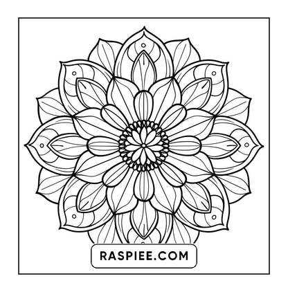 250 Mandala Adult Coloring Pages Vol.2