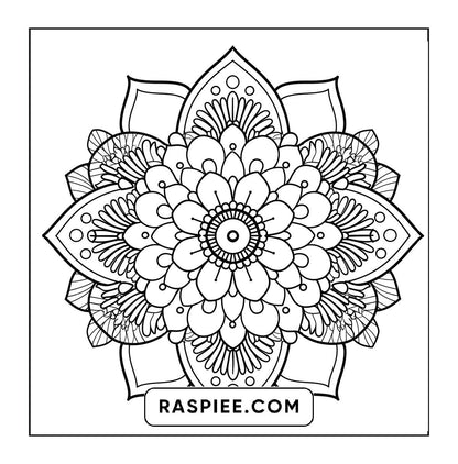 250 Mandala Adult Coloring Pages Vol.2