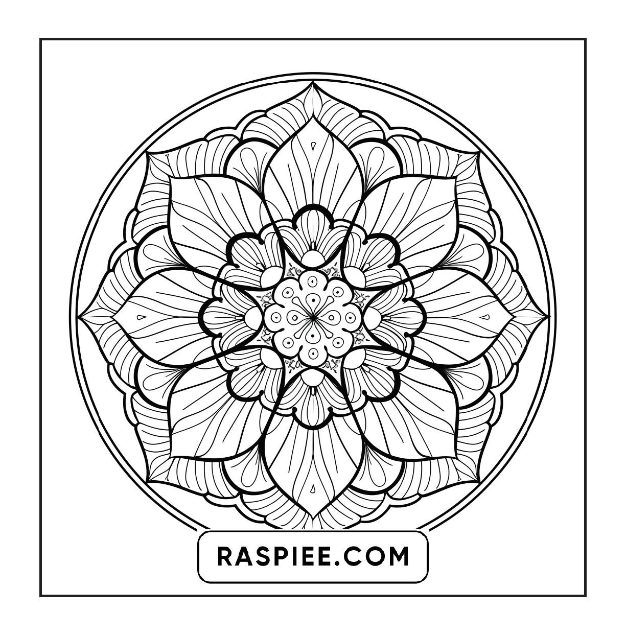250 Mandala Adult Coloring Pages Vol.2