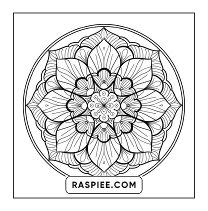 250 Mandala Adult Coloring Pages Vol.2