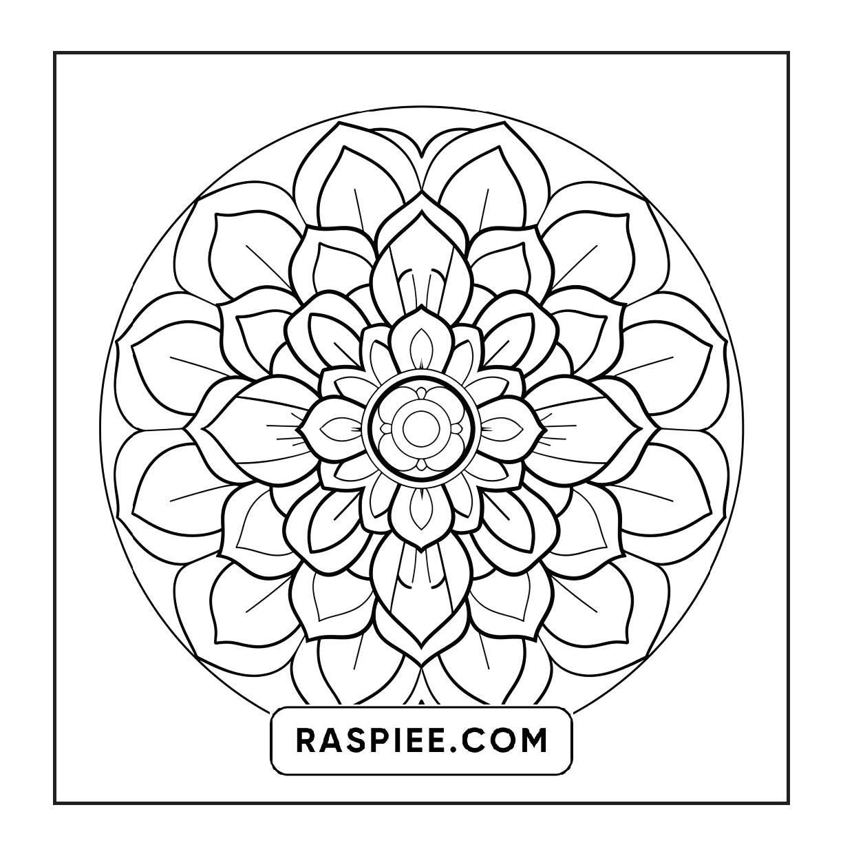 250 Mandala Adult Coloring Pages Vol.3
