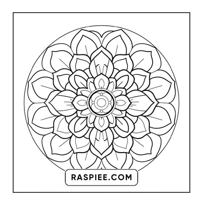 250 Mandala Adult Coloring Pages Vol.3
