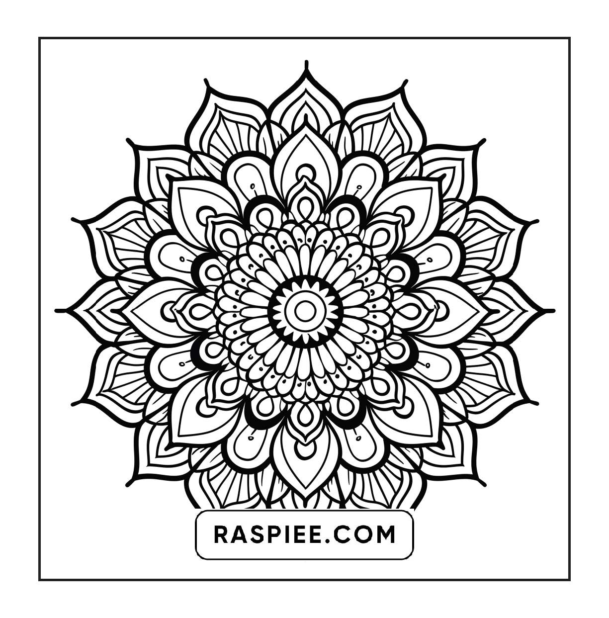 250 Mandala Adult Coloring Pages Vol.3