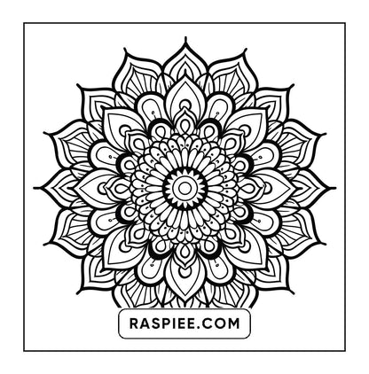 250 Mandala Adult Coloring Pages Vol.3