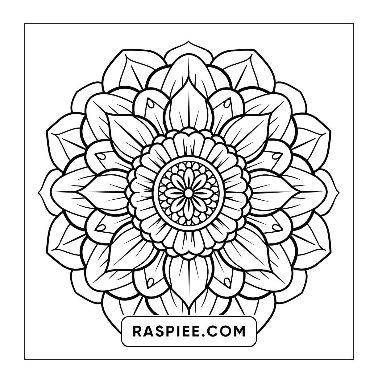 250 Mandala Adult Coloring Pages Vol.3