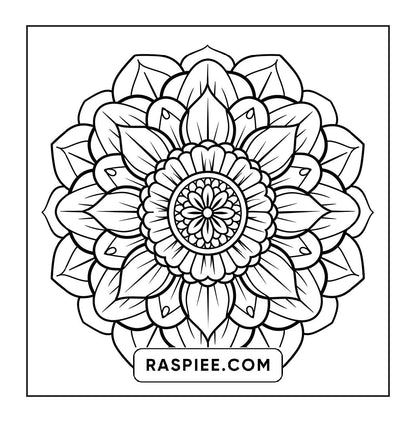 250 Mandala Adult Coloring Pages Vol.3