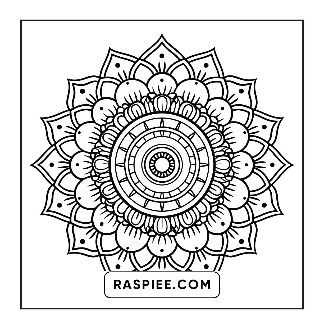 250 Mandala Adult Coloring Pages Vol.3