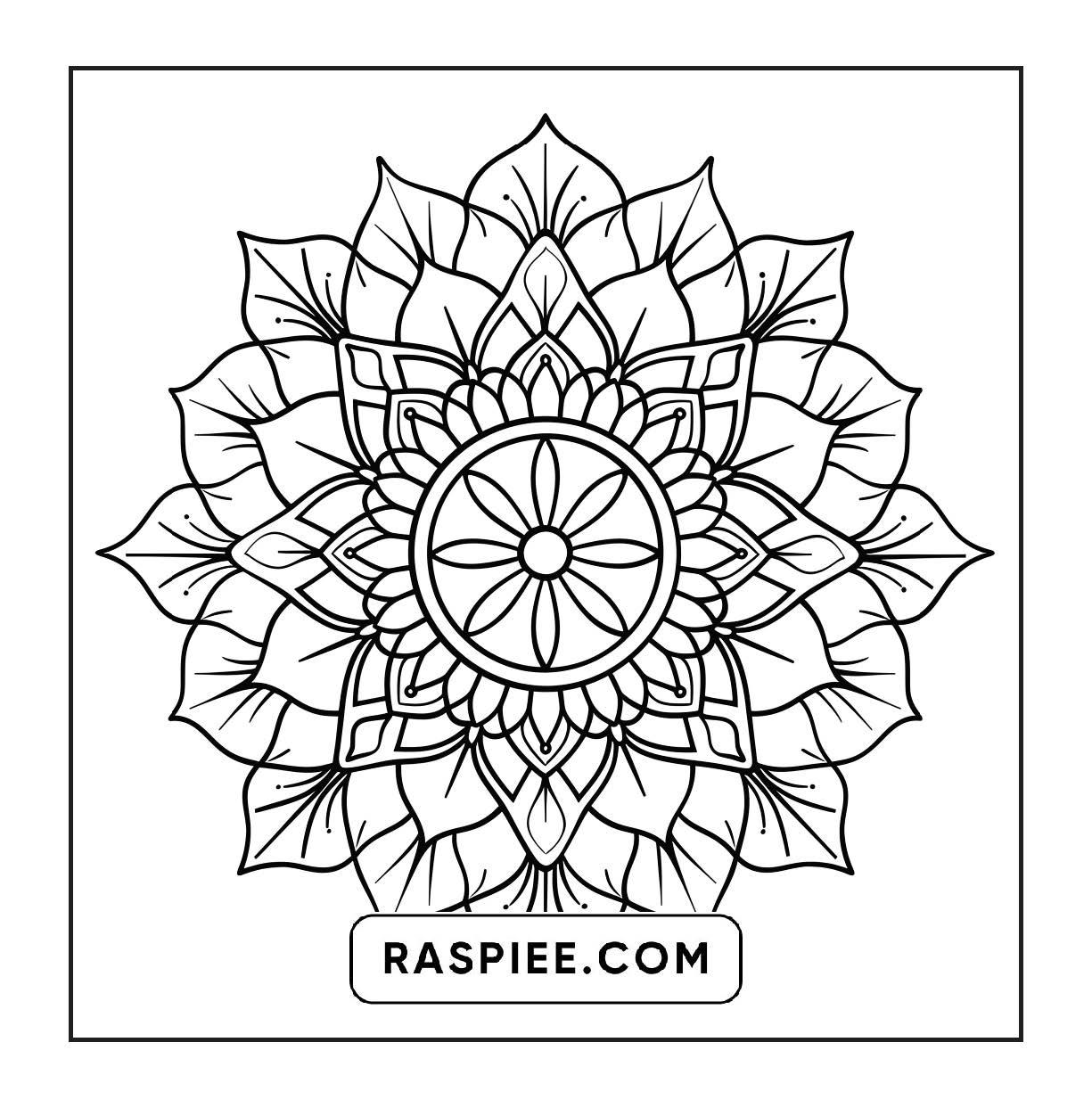250 Mandala Adult Coloring Pages Vol.3