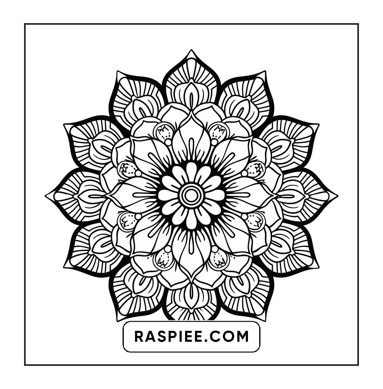 250 Mandala Adult Coloring Pages Vol.3